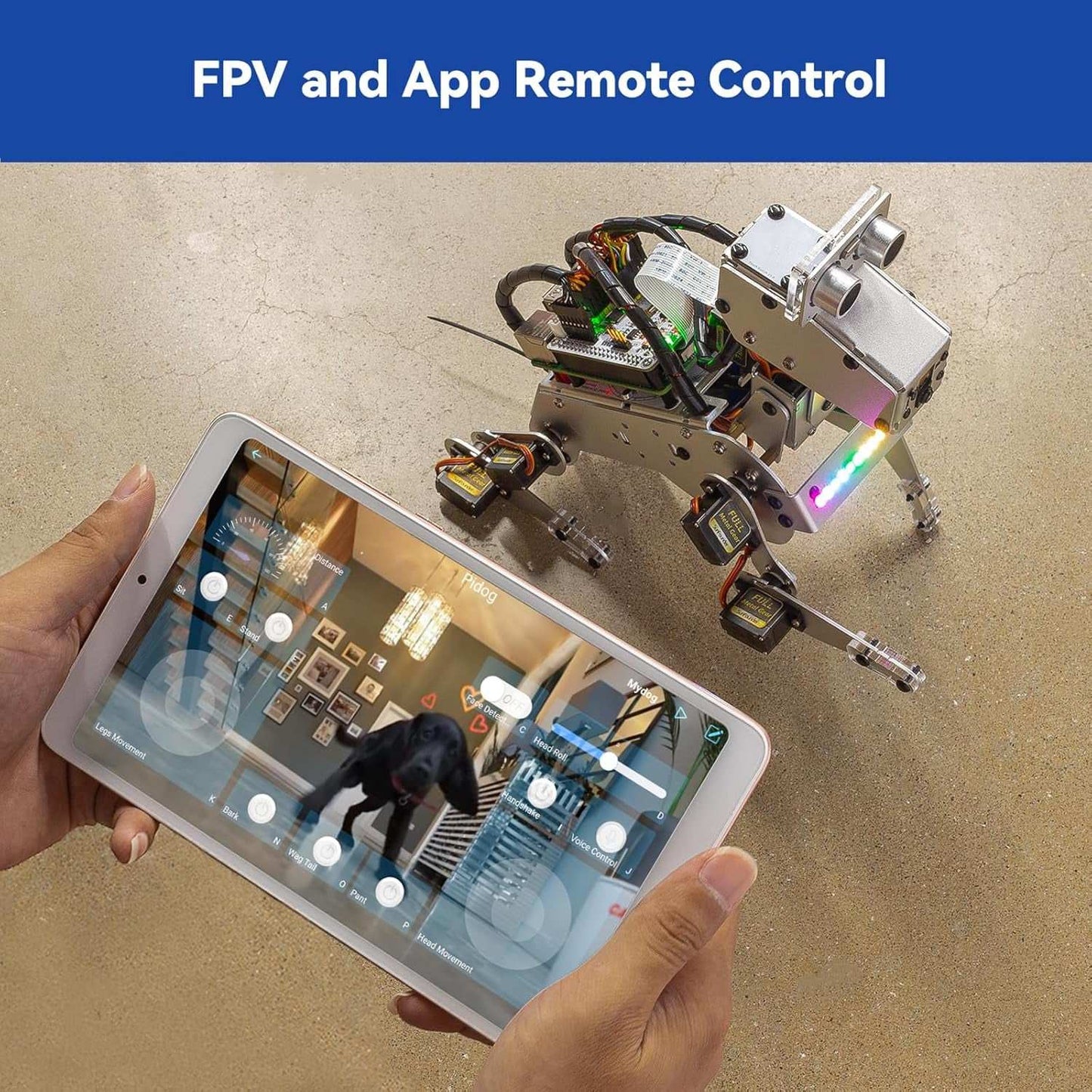 Sunfounder Pidog AI Robot Dog Kit for Raspberry Pi 4/3B+/3B/Zero 2W, Chatgpt-4O Enabled with Voice Command & Video Recognition, App Control, FPV, 12 Servos, Gyroscope, Camera, Mic (RPI NOT Included)